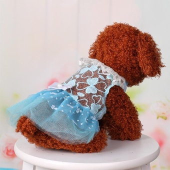 Summer Pet Dog Dress Wedding Party Dog Cat Princess Tutu Skirt SoftPuppy Clothes For Small Dog Teddy Color:Blue Size:10 Yards S - Intl June 2018 - 5 Summer Pet Dog Dress Wedding Party Dog Cat Princess Tutu Skirt SoftPuppy Clothes for Small Dog Teddy Color:Blue Size:10 yards S - intl - 5