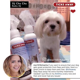 Ticks Away Anti Tick (garapata) & Flea (pulgas) & Lice (kuto) Spray For Dogs & Cats - Fipronil Active Ingredient July 2018 - 5 Ticks Away anti tick (garapata) & flea (pulgas) & lice (kuto) spray for dogs & cats - fipronil active ingredient - 5