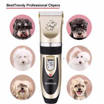 VANPIE Grooming Kit Electric Rechargeable Pet Dog Cat Animal Hair Trimmer Clipper Shaver Gold - Intl April 2018 - 3 VANPIE Grooming Kit Electric Rechargeable Pet Dog Cat Animal Hair Trimmer Clipper Shaver Gold - intl - 3