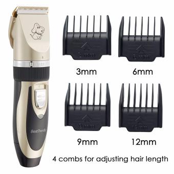 VANPIE Grooming Kit Electric Rechargeable Pet Dog Cat Animal Hair Trimmer Clipper Shaver Gold - Intl April 2018 - 2 VANPIE Grooming Kit Electric Rechargeable Pet Dog Cat Animal Hair Trimmer Clipper Shaver Gold - intl - 2