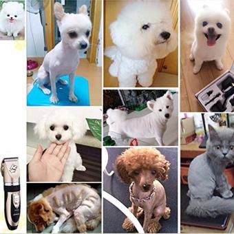 VANPIE Grooming Kit Electric Rechargeable Pet Dog Cat Animal Hair Trimmer Clipper Shaver Gold - Intl April 2018 - 5 VANPIE Grooming Kit Electric Rechargeable Pet Dog Cat Animal Hair Trimmer Clipper Shaver Gold - intl - 5