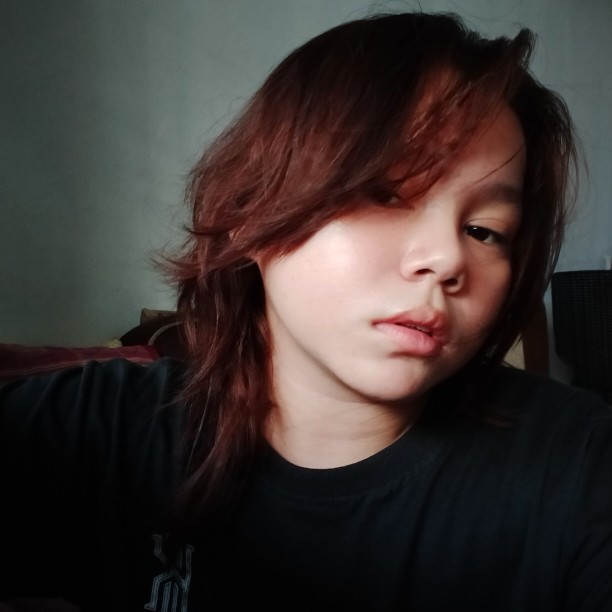 CleanStar Dental Floss Pick Box 50's review and price