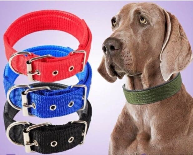 rilakkuma life size plush