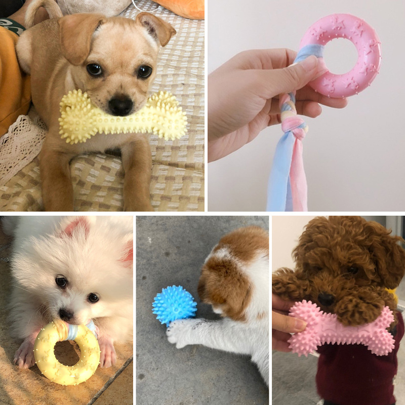 puppy toys clearance