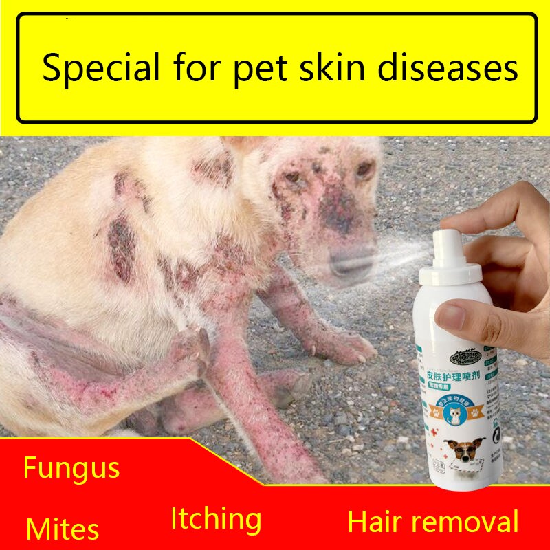1 họa tiết cún cưng da phun 120ml nấm Mite eczema antipruritic bông cho sử