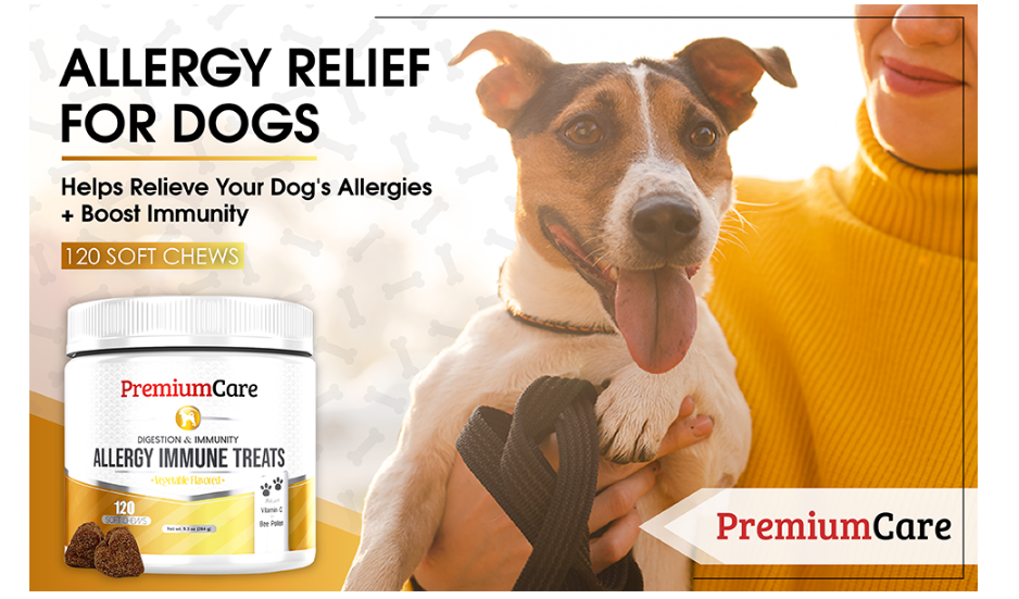 dog vitamins for skin allergies