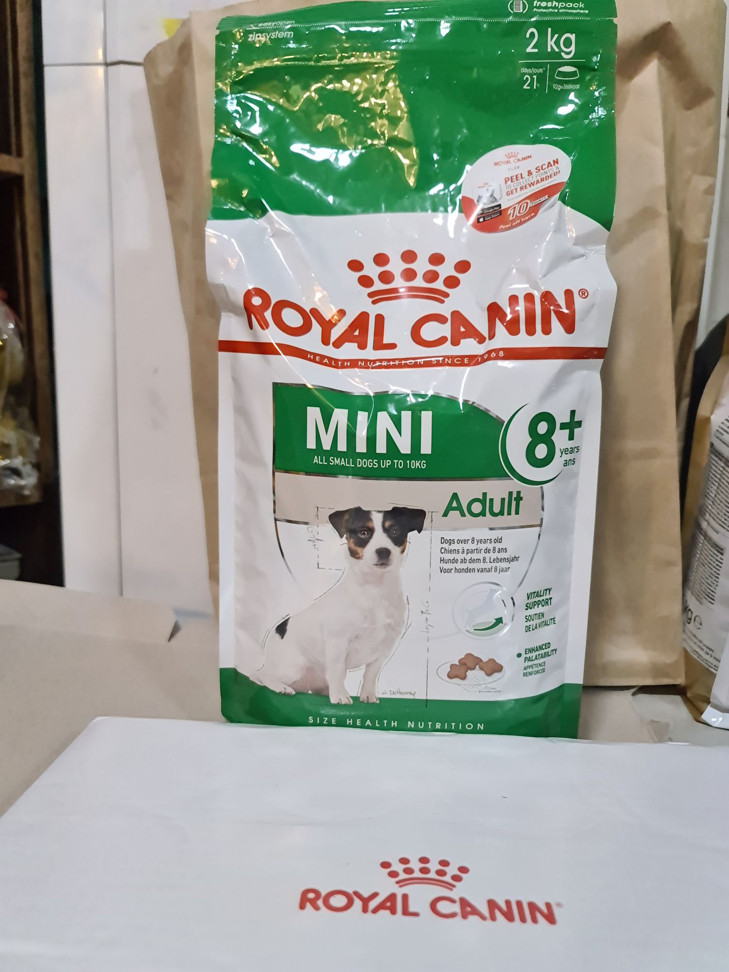 Mini Adult Royal Canin Shn ROYAL CANIN MINI ADULT 8+ DRY FOOD 2Kg
