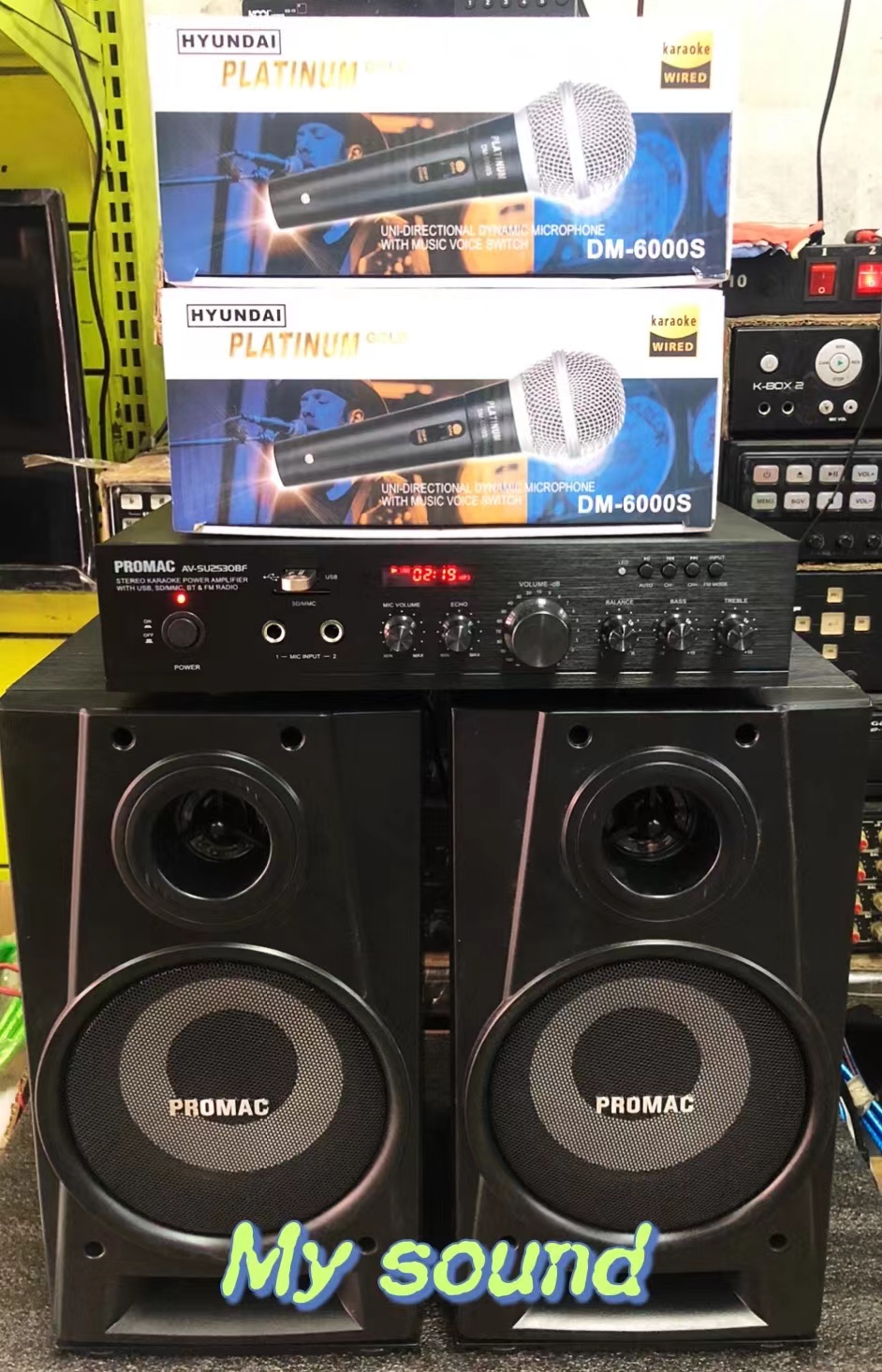 Promac SPK-40 Acoustic Speaker System 30WTTS RMS Speaker bluetooth