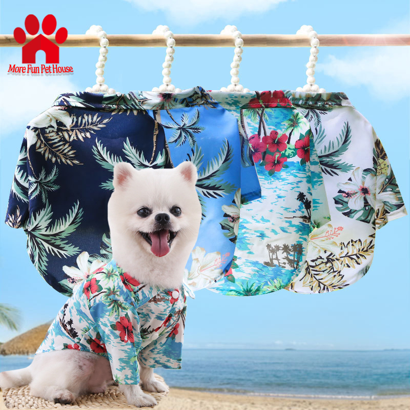 Dog shop beach clothes