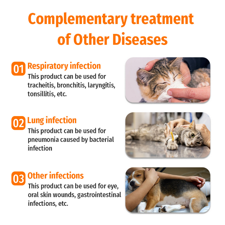 Cat Scratch Fever Cat Illness Symptoms Cat Scratch Fever Treatment