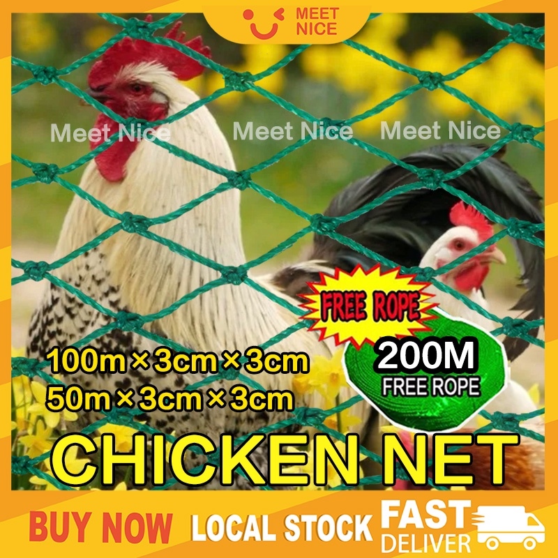 Free rope】50/100M Chicken Net Range Net For Chicken Lambat Outdoor Defense  Bird Net Poultry Net