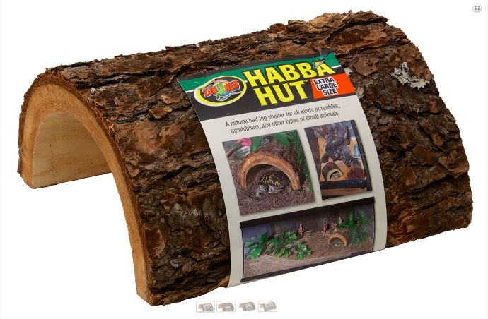 reptile hut exotic pet store