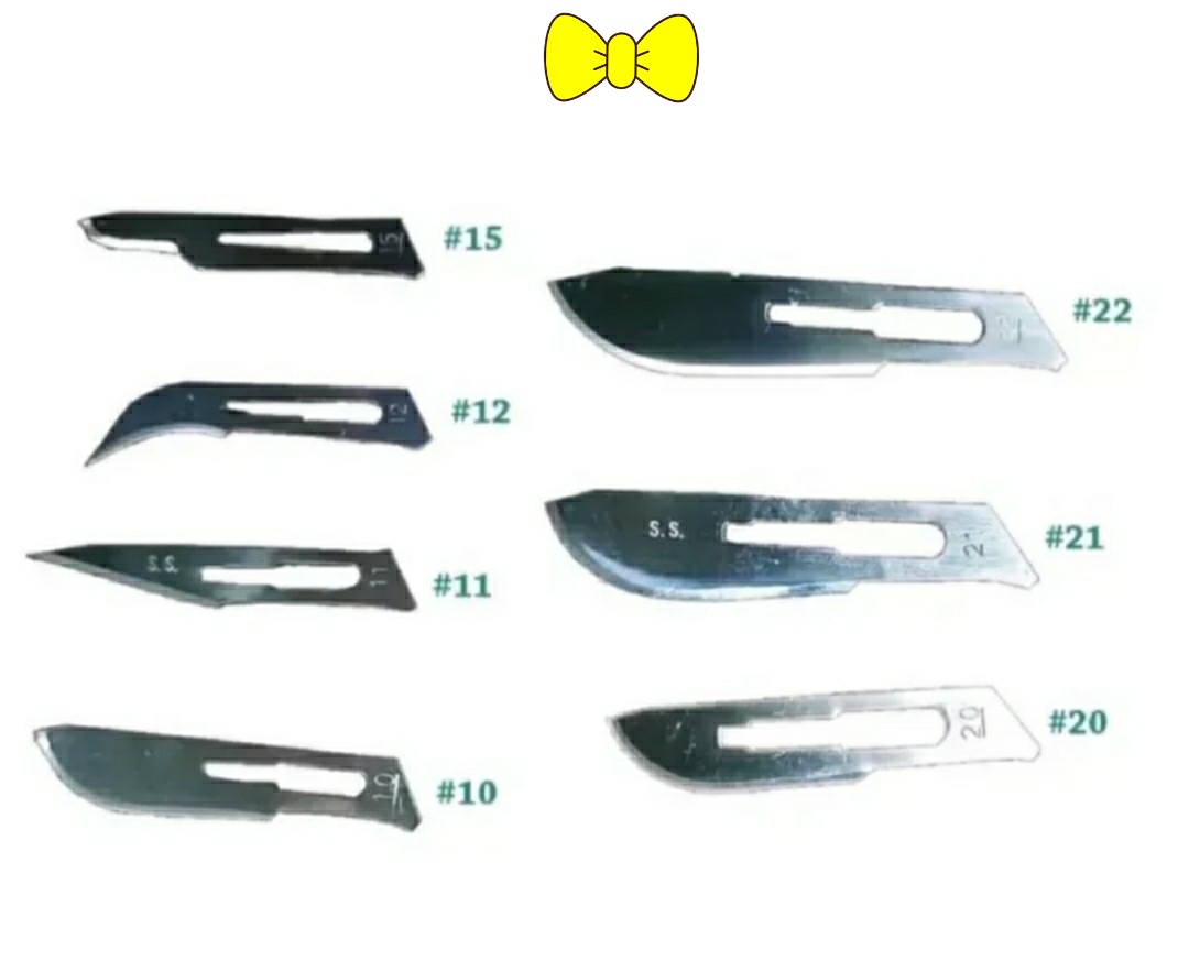 Surgical deals blade 12