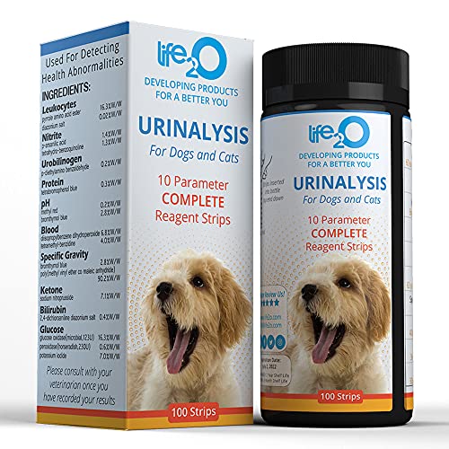 how is a dog tested for uti