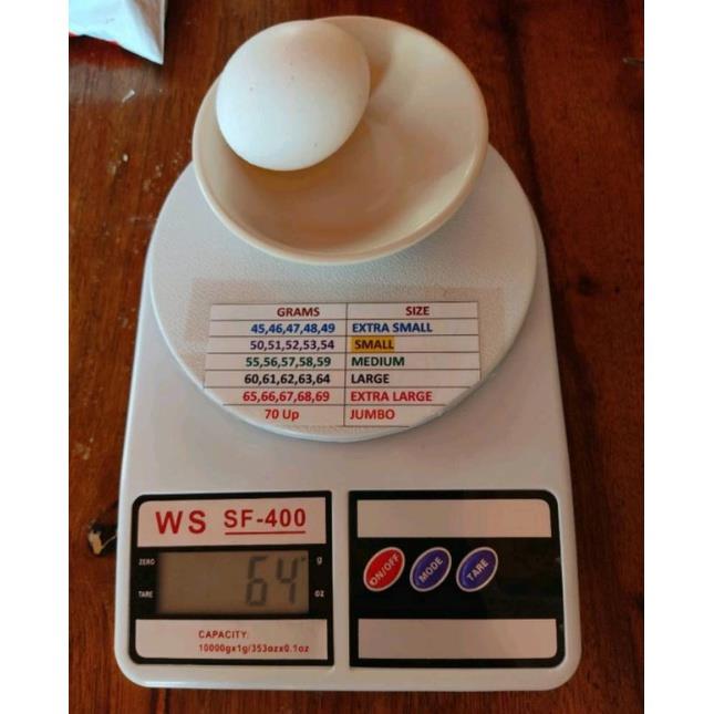 Lwory Digital Egg Scale - Accurate Humidity Measurement and Egg