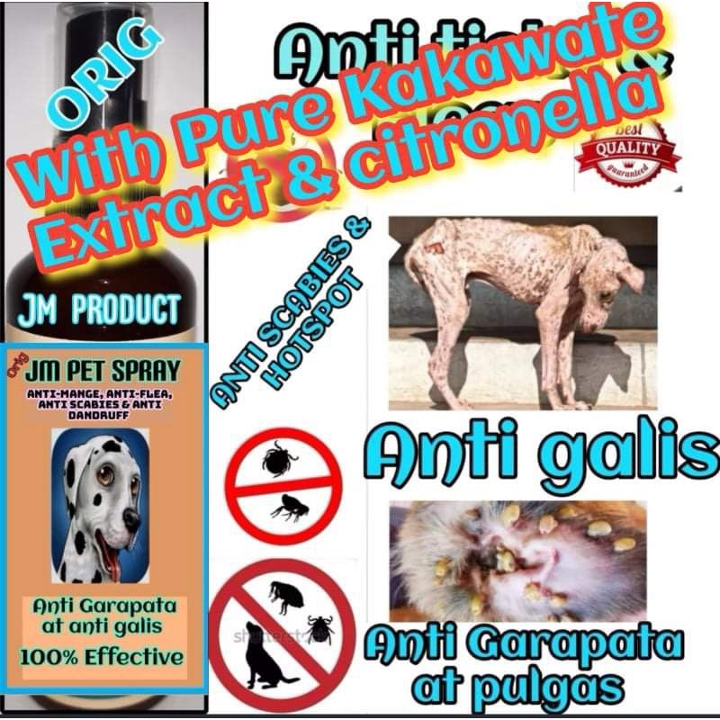 galis aso treatment for dogs