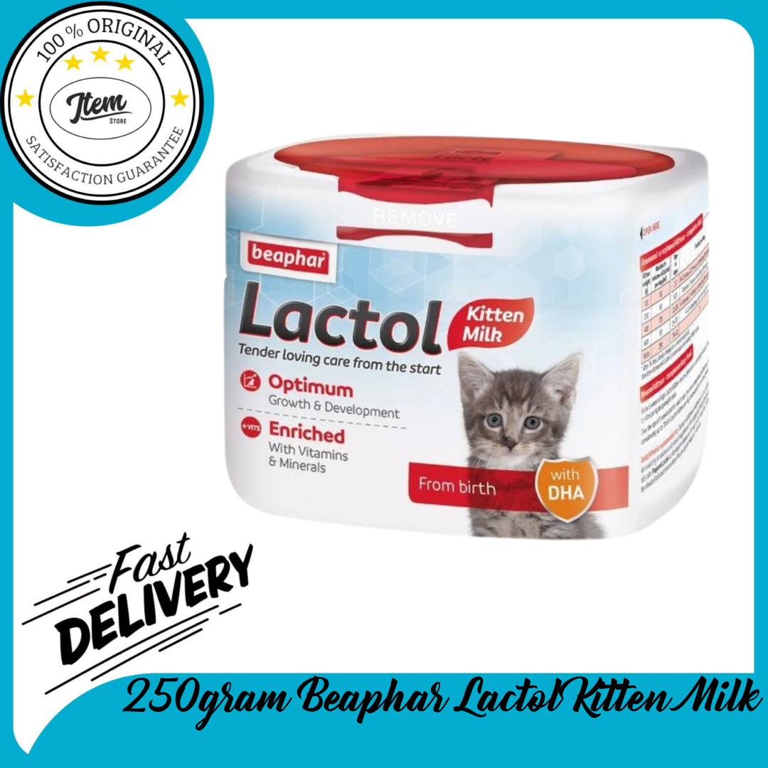 lactol kitten milk near me